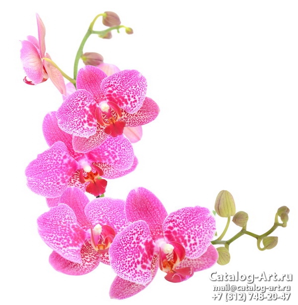 Натяжные потолки с фотопечатью - Розовые орхидеи 77